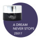 Color Gel A Dream Never Stops (Indian Summer Collectie) 5ml 