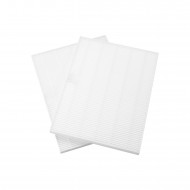Replacement Filter for Dust Devil
