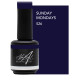 Sunday Mondays 15ml (Walk On The Wild Side)