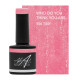 Who Do You Think You Are 7.5ml (Spice Up Your Life) 