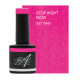 Stop Right Now 7.5ml (Spice Up Your Life)