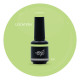 Brush N Color LOCATION 10ml 