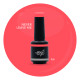 Brush N' Color NEVER LEAVE ME 10ml 