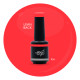 Brush N' Color LEAN BACK 10ml 
