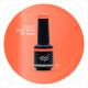 Brush N' Color DON'T MESS WITH MY MAN 10ml (Soft Cat Eye) 