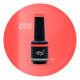 Brush N' Color BONNIE & CLYDE 10ml (Soft Cat Eye) LAUNCH 21.05.2026