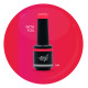 Brush N' Color WITH YOU 10ml (Soft Cat Eye) 