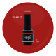 Brush N' Color SCARLET 8ml