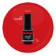 Brush N' Color LA FEMME 10ml (Crazy Horse) 