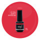 Brush N' Color IF YOU DON'T KNOW ME 10mL (Simply Red) 