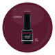 Brush N' Color CONGA 8ml
