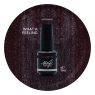 Brush N' Color WHAT A FEELING 10ml