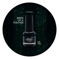 Brush N' Color BIRDS OF A FEATHER 8ml
