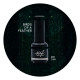 Brush N' Color BIRDS OF A FEATHER 8ml