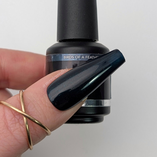 Brush N' Color BIRDS OF A FEATHER 8ml