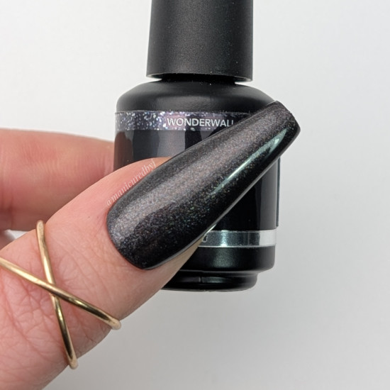 Brush N' Color WONDERWALL 8ml