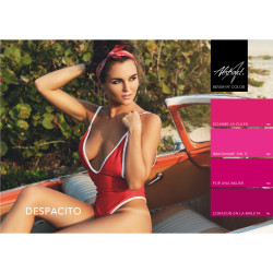 Brush N' Color Collection DESPACITO 4 x 10ml | LAUNCH 07.05.2026