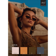 Poster A3 LOCA 
