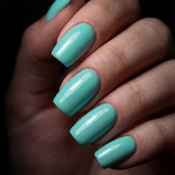 Brush N' Color FROZEN IN TIME 10ml 