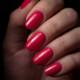 Brush N' Color ADDICTIVE 10ml