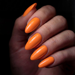 Brush N' Color STOLE THE SHOW 10ml