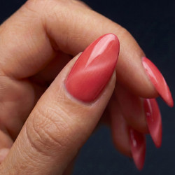 Brush N' Color BONNIE & CLYDE 10ml (Soft Cat Eye) LAUNCH 21.05.2026