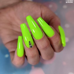 Power of Positivity 15ml (The Power of Color)