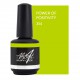 Power of Positivity 15ml (The Power of Color)