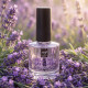 Relaxing Lavender Aromatic Essence 15ml