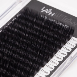 Volume Lashes C 0.06 x 11mm