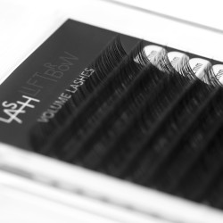 Volume Lashes C 0.03 x 12mm