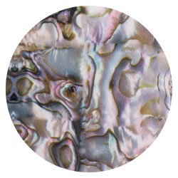 Transfer Foil SHELL