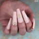 Geometric F230 GOLD Water Decals