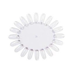 Margriet Oval CLEAR