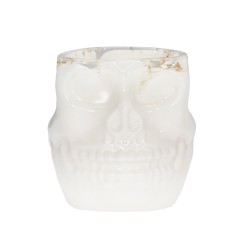 Skull Brush & Tool Holder WIT